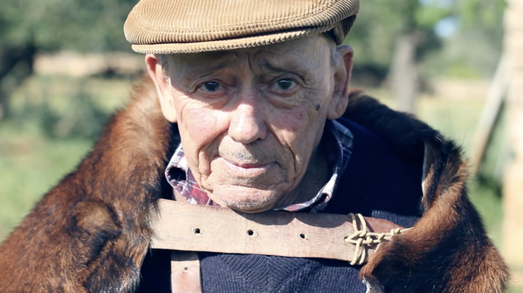 Palou, retrato